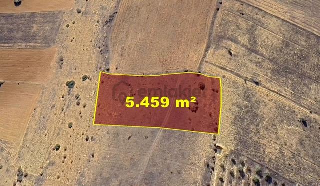 Konya / Doğanhisar / Baş - Başköy Mahallesinde 5.459 M² Müstakil Tapulu Tarla 3