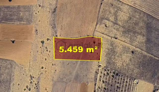 Konya / Doğanhisar / Baş - Başköy Mahallesinde 5.459 M² Müstakil Tapulu Tarla 5