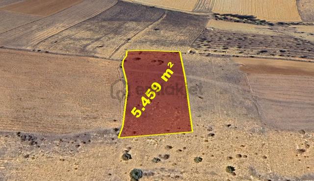Konya / Doğanhisar / Baş - Başköy Mahallesinde 5.459 M² Müstakil Tapulu Tarla 1