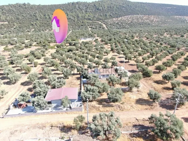 Didim Akyeniköy Kardelen Arsası Villa İmarlı 2