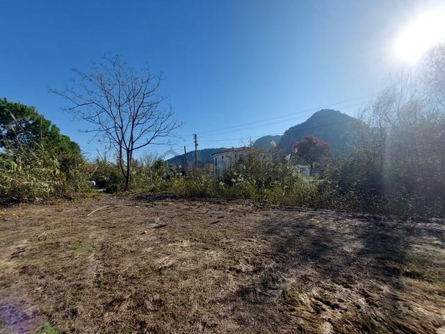 Muğla Dalyan Da Yatırıma Uygun Kelepir Orman A Sıfır 4 000 M2 Arazi Satılık 3