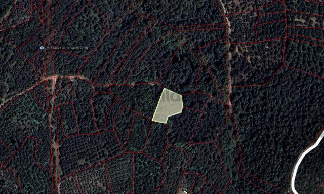 Bandırma Edincik Mahallesinde Satılık 1.060m2 Zeytinlik 2