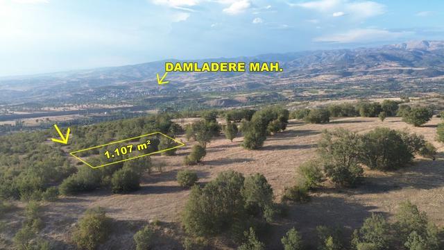 Amasya / Hamamözü / Damladere De 1.107 M² Müstakil Tarla 3