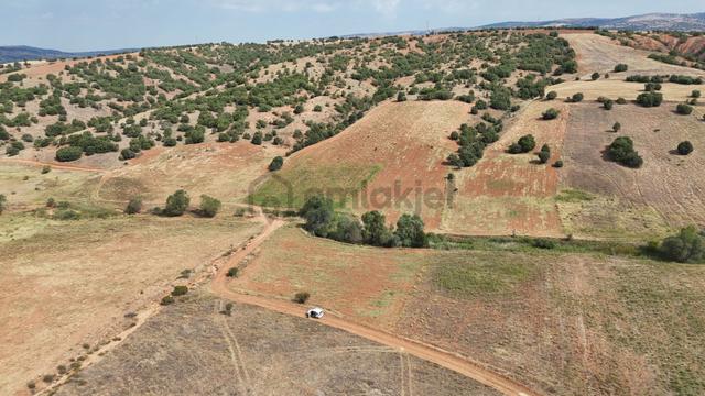 Konya / Ilgın / Belekler De 3.477 M² Müstakil Tarla 4