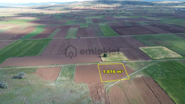 Akören Tülce De 1.816 M2 Müstakil Tapulu Tarla 4