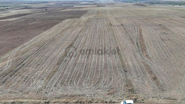 Konya / Akören / Orhaniye Mahallesinde 7.063 M² Müstakil Tarla 2