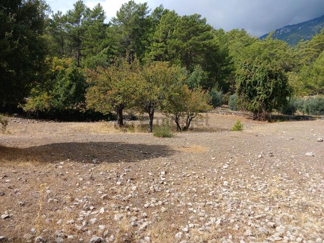 Antalya Satılık Arazi 3