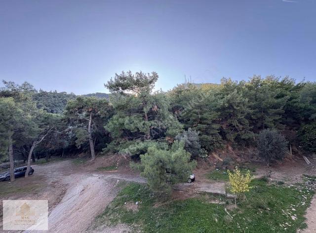 Msg'den Teleferik Mh. Dağ Manzaralı 3+1 Ara Kat Masrafsız Daire 1