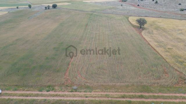 Akören Hacılar Da 2.583 M2 Müstakil Tapulu Tarla 5