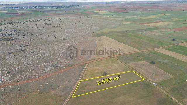 Akören Hacılar Da 2.583 M2 Müstakil Tapulu Tarla 3