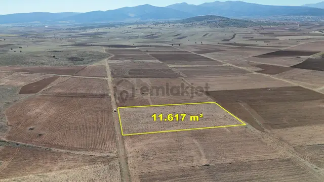 Konya / Akören / Orhaniye Mahallesinde 11.617 M² Müstakil Tarla 3