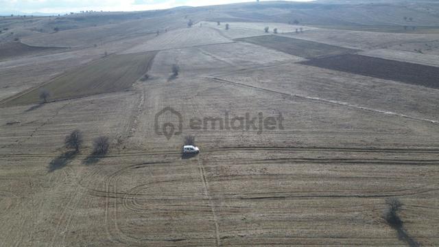 Konya / Ilgın / Yukarıçiğil-küçük Mahallesinde 5.812 M² Müstakil Tapulu Tarla 2