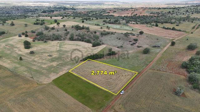 Konya / Akören / Tülce'de 2.774 M² Müstakil Tapu Tarım Arazisi 3