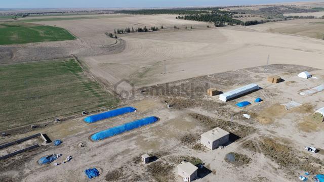 Konya / Emirgazi / Işıklar 444 M² Konut İmarlı Arsa 2