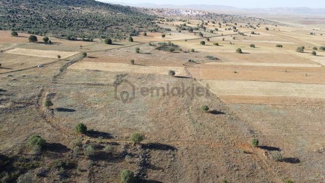 Konya / Akören / Hacılar Mahallesinde 2.566 M² Müstakil Tapulu Tarla 3