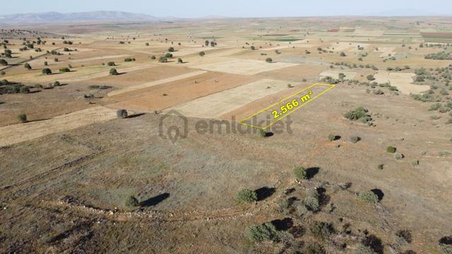Konya / Akören / Hacılar Mahallesinde 2.566 M² Müstakil Tapulu Tarla 1