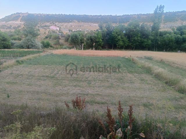 Konya / Meram / Güneydere Mahallesinde 342 M² Müstakil Tapulu Tarla 2