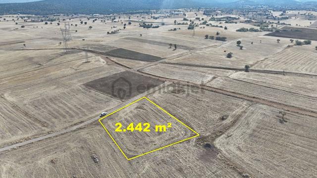 Konya / Akören / Tülce Mahallesinde 2.442 M² Müstakil Tapulu Tarla 1