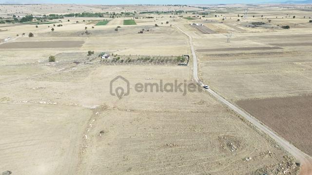 Konya / Akören / Tülce Mahallesinde 2.442 M² Müstakil Tapulu Tarla 4