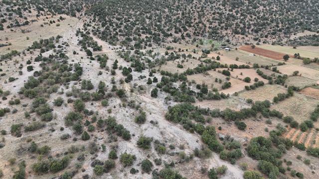 Konya / Akören / Kayasu Mahallesinde 3.020 M² Müstakil Bahçe 4