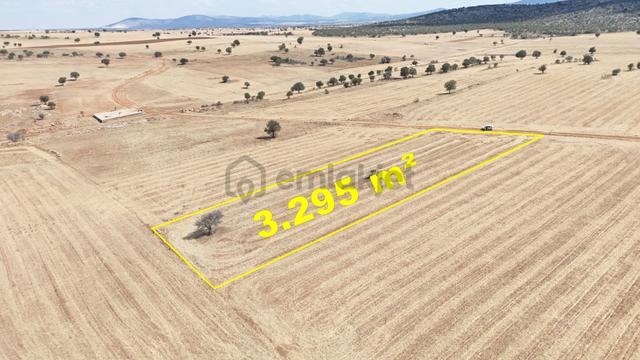 Konya / Akören / Karahüyük Mahallesinde 3.295 M² Müstakil Tapulu Tarla 1