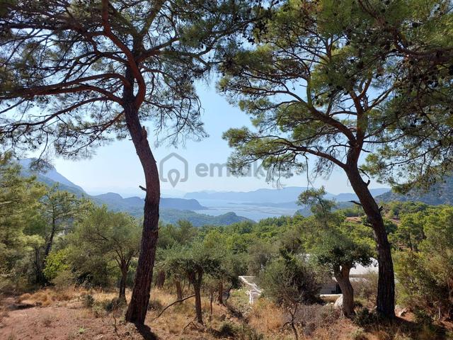 Mugla Ortaca Gökbel De Doga Ve Deniz Manzaralı Müstakil 762 M2 Yatırıma Uygun Arazi Satılık 3