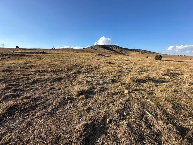 Afyon Bolvadin Kurucuova'da Yola Tek Parsel Fırsat Arazi!!! 1
