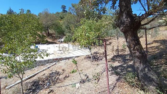 Wisrem Burdur'dan Satılık Hobi Bahçesi 2