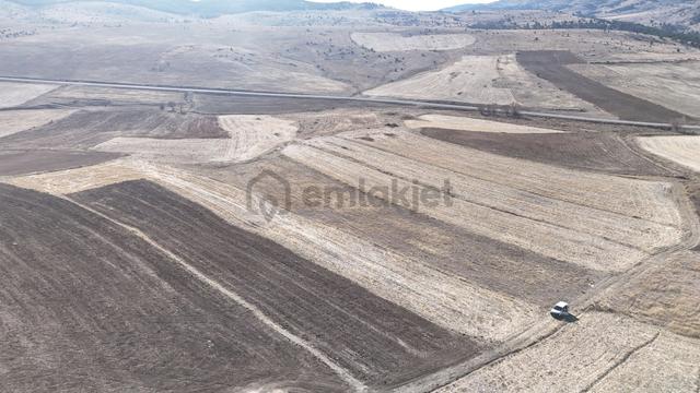 Konya / Ilgın / Gökçeyurt-özlem Mahallesinde 2.442 M² Müstakil Tapulu Tarla 3
