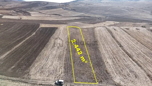 Konya / Ilgın / Gökçeyurt-özlem Mahallesinde 2.442 M² Müstakil Tapulu Tarla 1