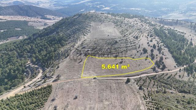 Konya / Ilgın / Gökçeyurt-özlem Mahallesinde 5.641 M² Müstakil Tapulu Tarla 1