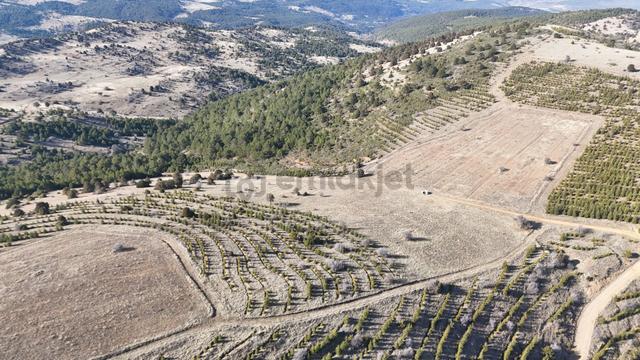 Konya / Ilgın / Gökçeyurt-özlem Mahallesinde 5.641 M² Müstakil Tapulu Tarla 2