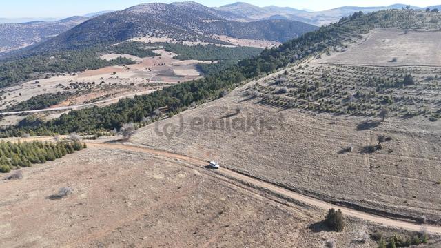 Konya / Ilgın / Gökçeyurt-özlem Mahallesinde 5.641 M² Müstakil Tapulu Tarla 3