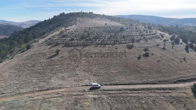 Konya / Ilgın / Gökçeyurt-özlem Mahallesinde 5.641 M² Müstakil Tapulu Tarla 5