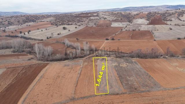 Konya / Ilgın / Belekler Mahallesinde 1.644 M² Müstakil Tapulu Tarla 3