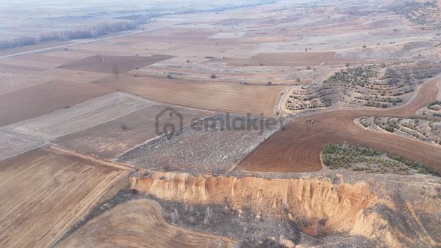 Konya / Ilgın / Argıthanı Mahallesinde 8.900 M² Müstakil Tapulu Tarla 3