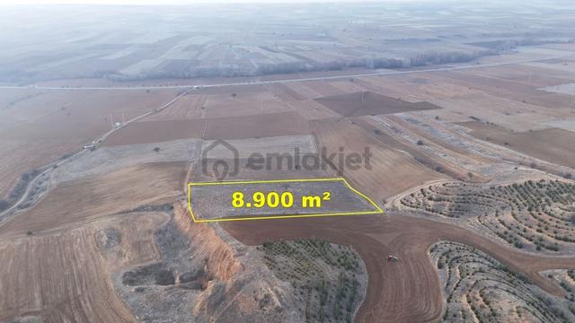 Konya / Ilgın / Argıthanı Mahallesinde 8.900 M² Müstakil Tapulu Tarla 2