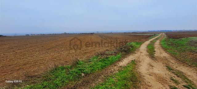 Tekirdağ Kapaklı Karlıda Resmi Yola Cepheli Satılık Tarla 1