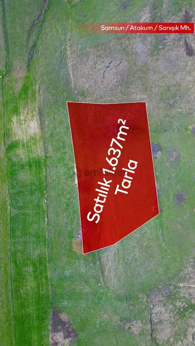 Truva/nazım'dan Atakum Sarıışık Satılık Fırsat Takaslı Tarla 3