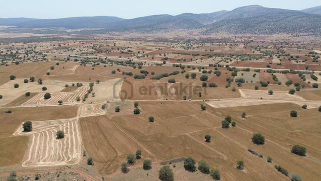 Konya / Akören / Hacılar Mahallesinde 2.875 M² Müstakil Tapulu Tarla 5