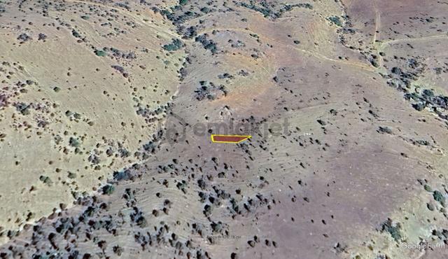 Konya / Hadim / Göynükkışla Mahallesinde 125 M² Müstakil Tapulu Tarla 2
