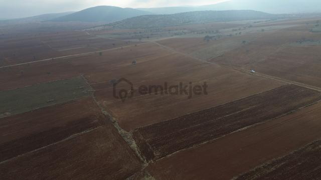 Konya / Akören / Karahüyük Mahallesinde 6.637 M² Müstakil Tapulu Tarla 5