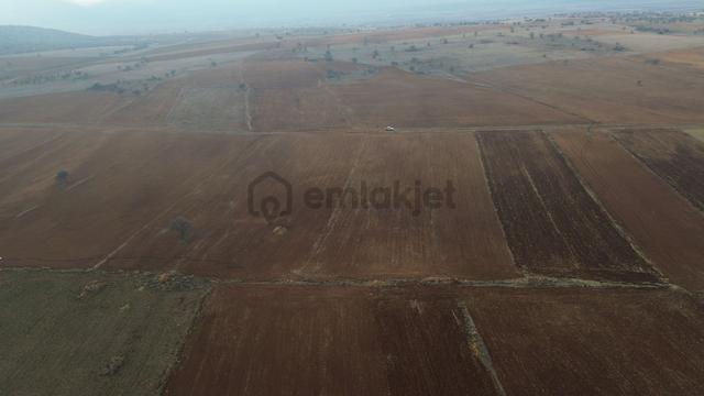 Konya / Akören / Karahüyük Mahallesinde 6.637 M² Müstakil Tapulu Tarla 2