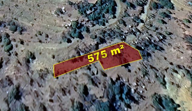 Konya / Hadim / Göynükkışla Mahallesinde 575 M² Müstakil Tapulu Tarla 5