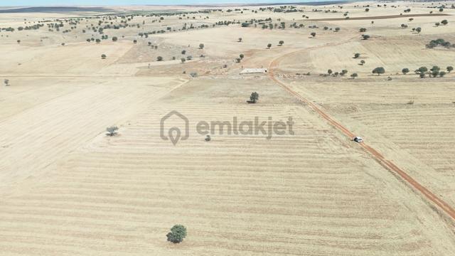 Konya / Akören / Karahüyük Mahallesinde 3.295 M² Müstakil Tapulu Tarla 4