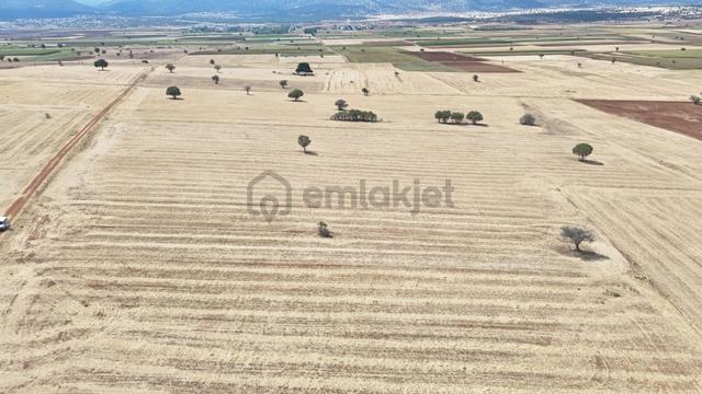 Konya / Akören / Karahüyük Mahallesinde 3.295 M² Müstakil Tapulu Tarla 5