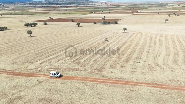 Konya / Akören / Karahüyük Mahallesinde 3.295 M² Müstakil Tapulu Tarla 3