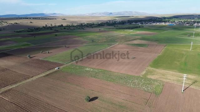 Akören Tülce De 3.592 M2 Müstakil Tapulu Tarla 3