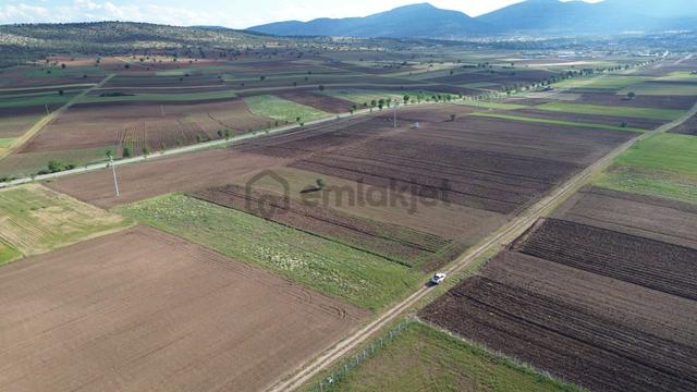 Akören Tülce De 3.592 M2 Müstakil Tapulu Tarla 5