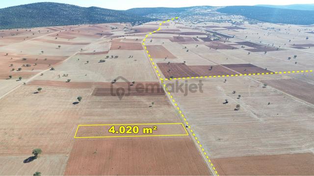 Konya / Akören / Karahüyük Mahallesinde 4.020 M² Müstakil Tarla 5